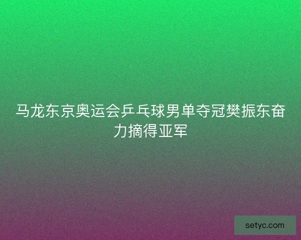 马龙东京奥运会乒乓球男单夺冠樊振东奋力摘得亚军